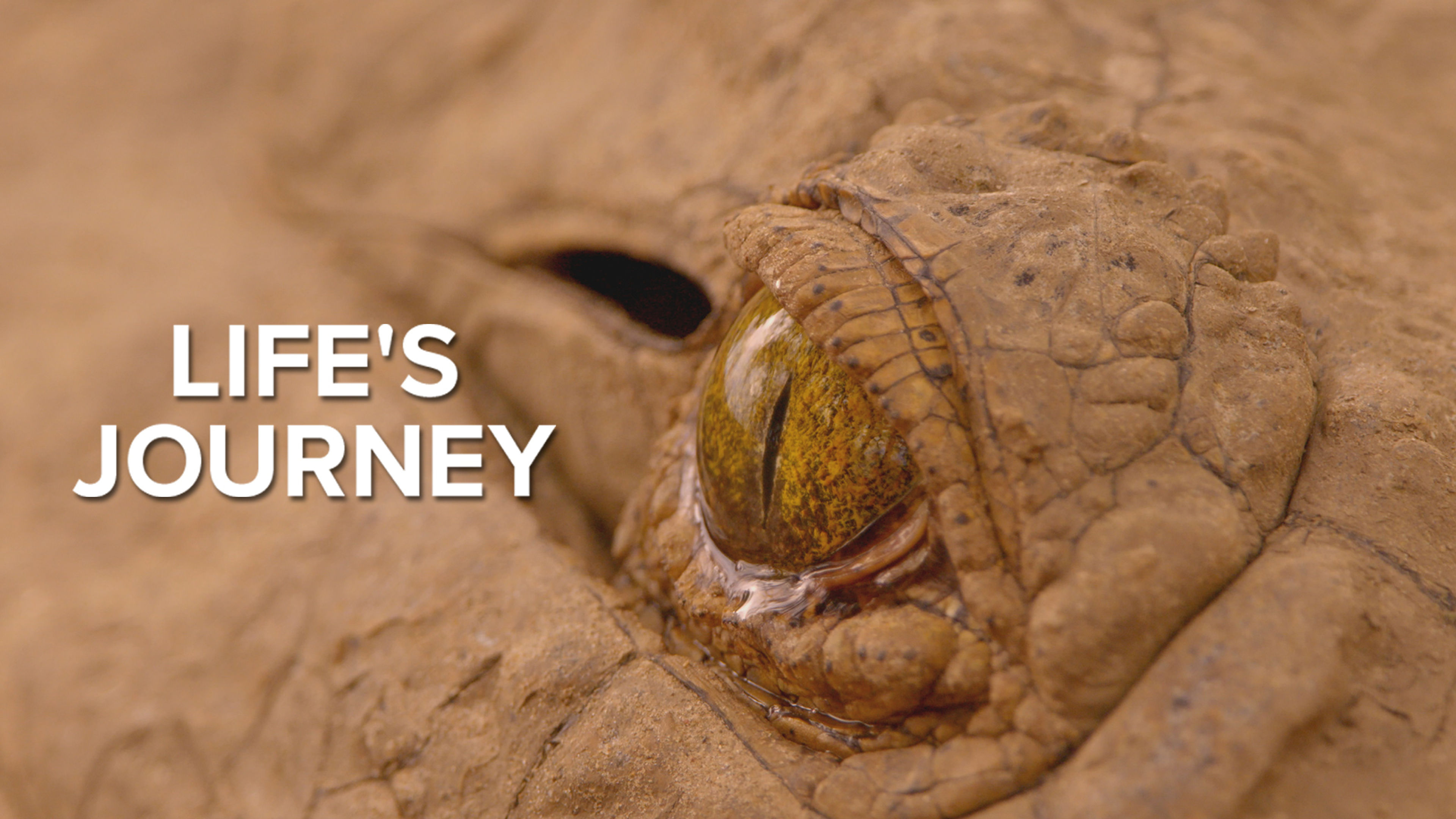 Life's Journey S1