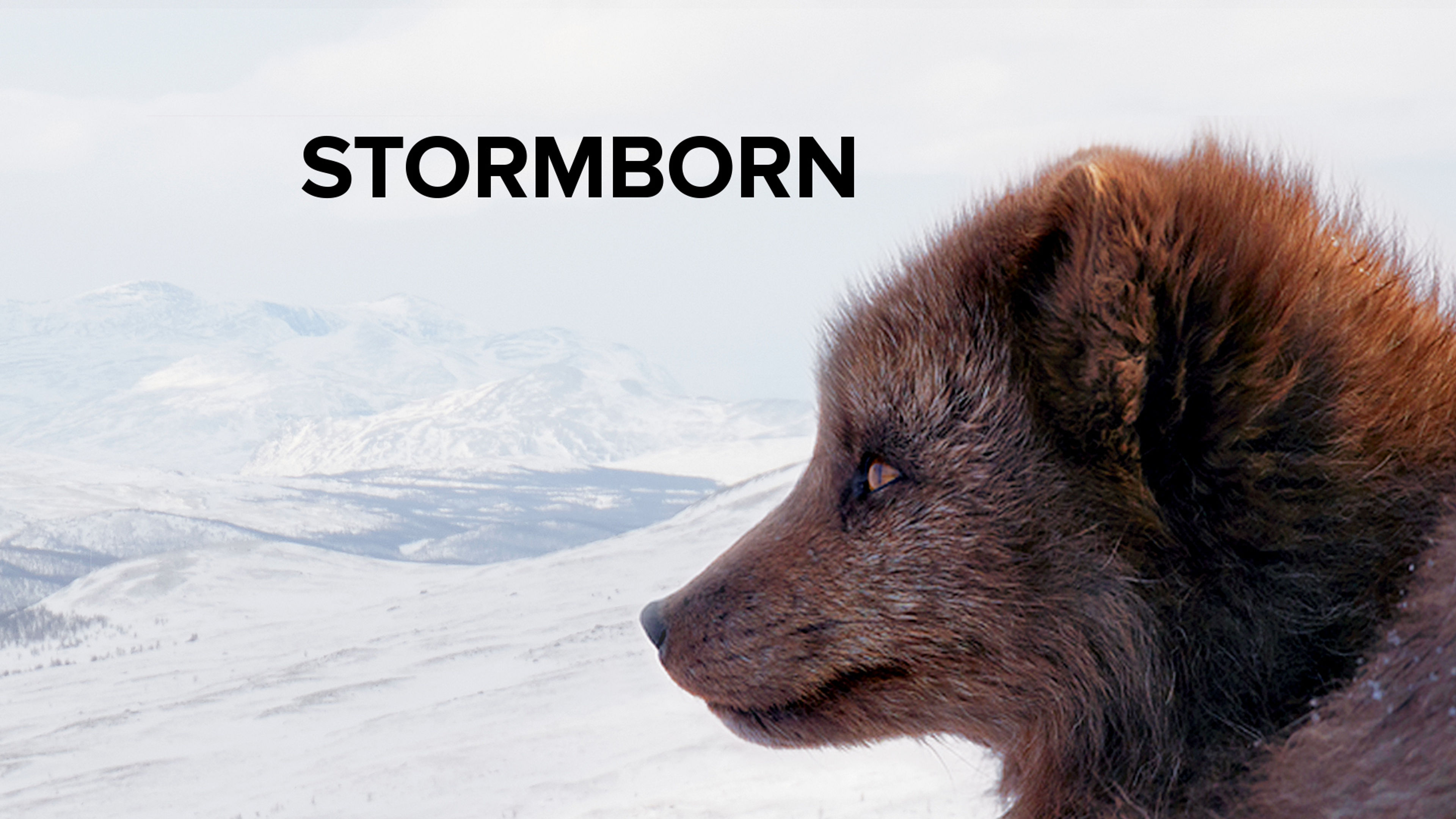 Stormborn S1