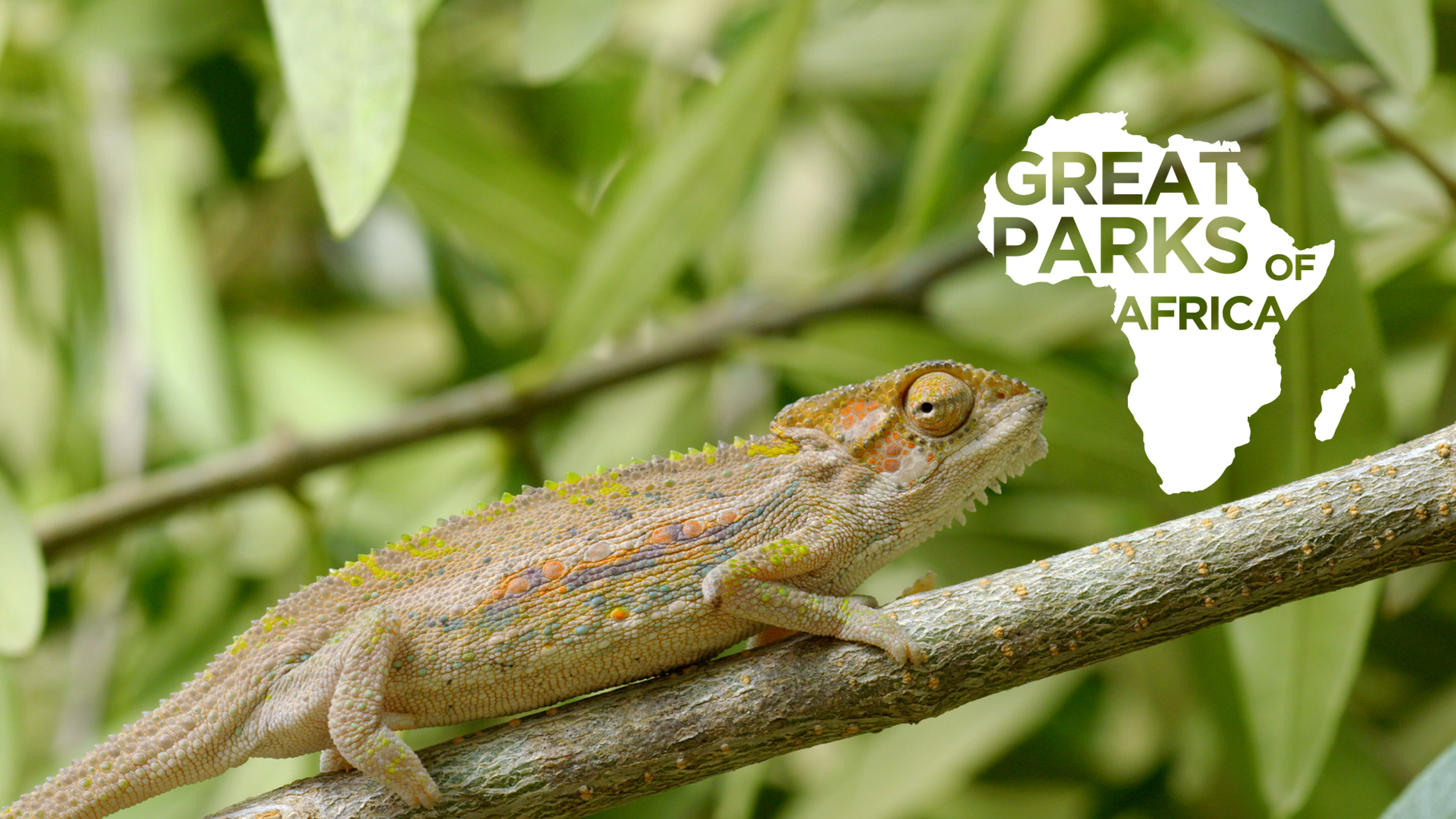 Great Parks of Africa S2