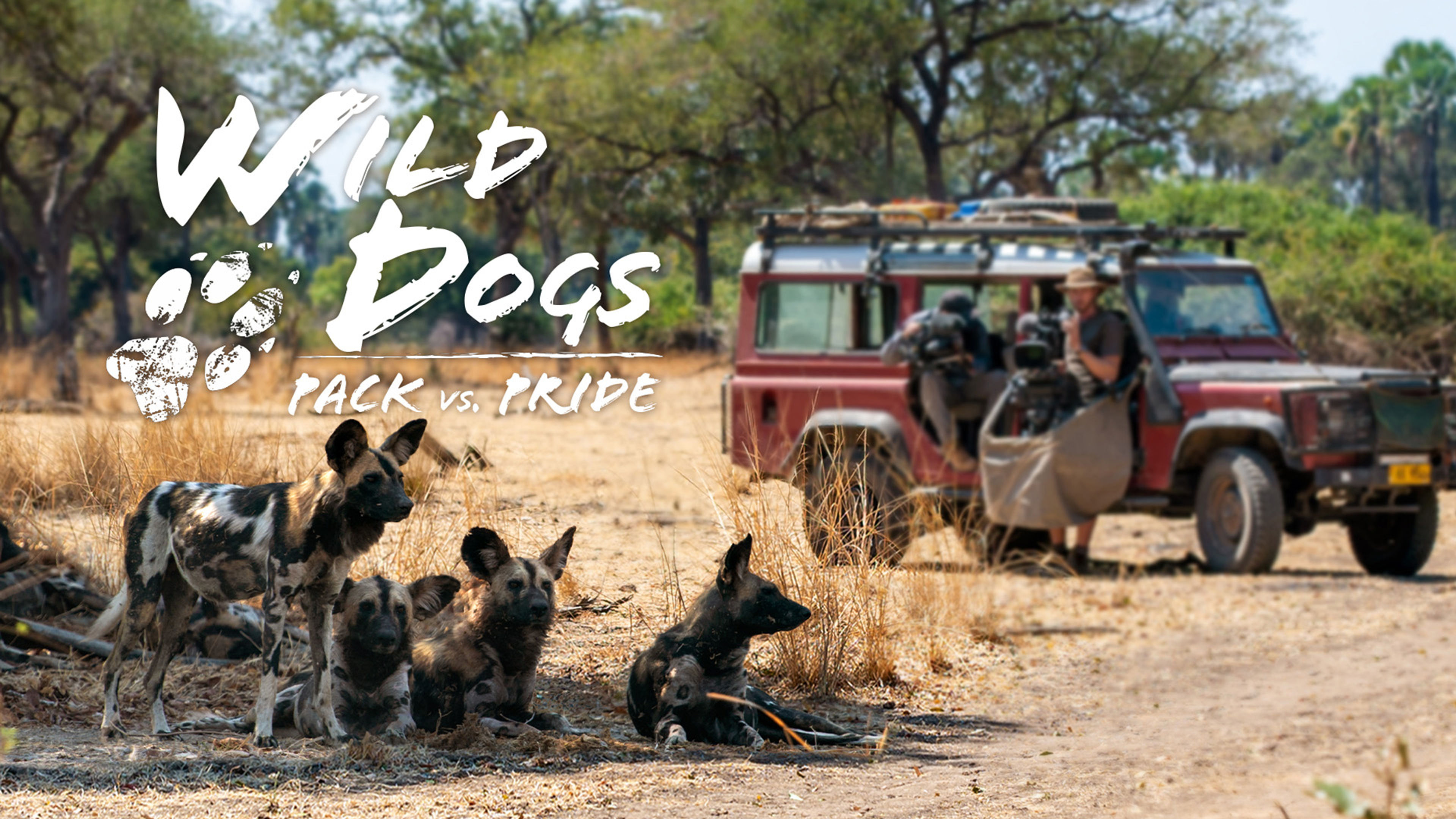 Wild Dogs: Pack Vs. Pride S2
