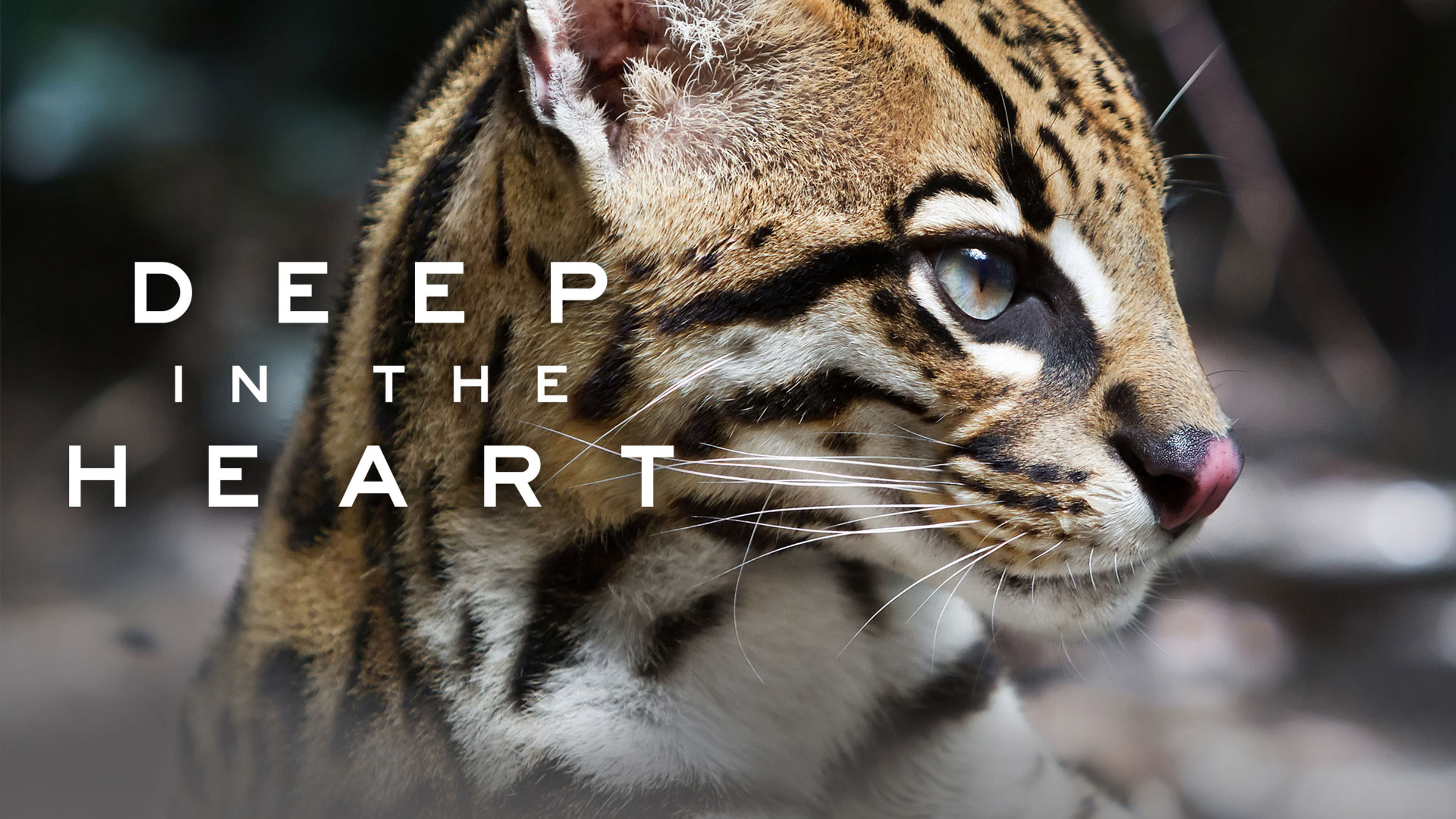 Deep in the Heart