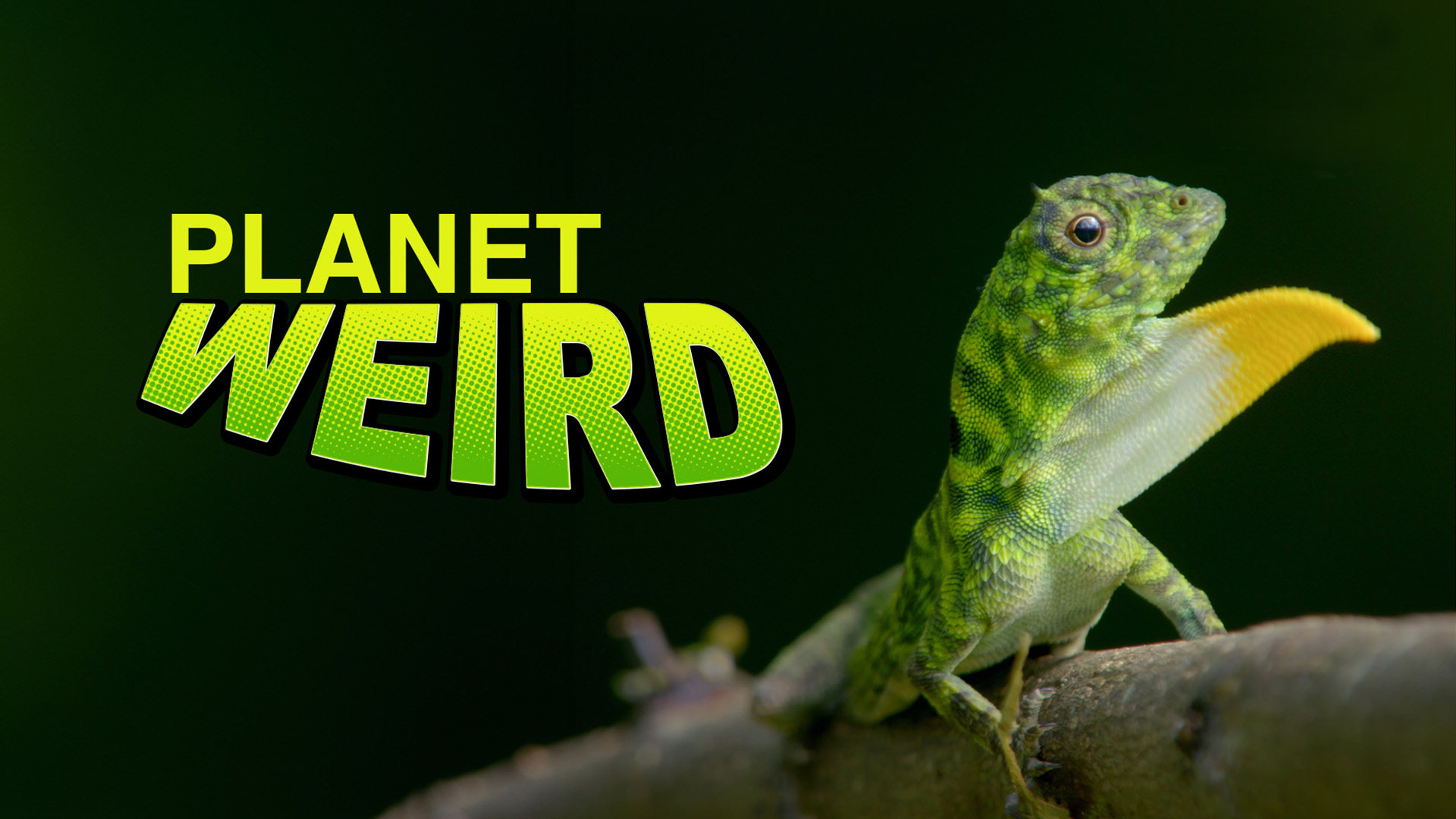 Planet Weird S1