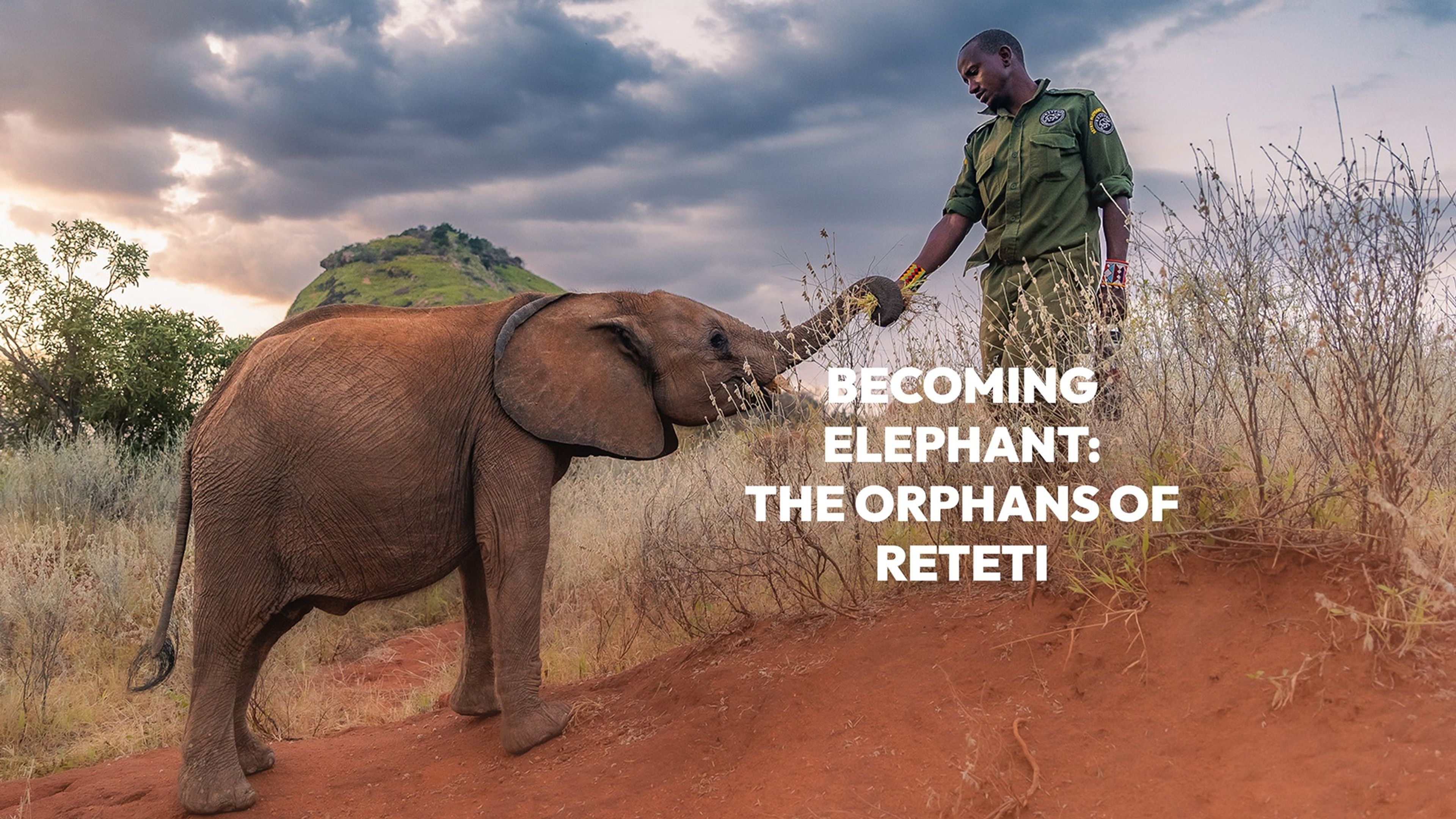 Becoming Elephant: the Orphans of Reteti S1
