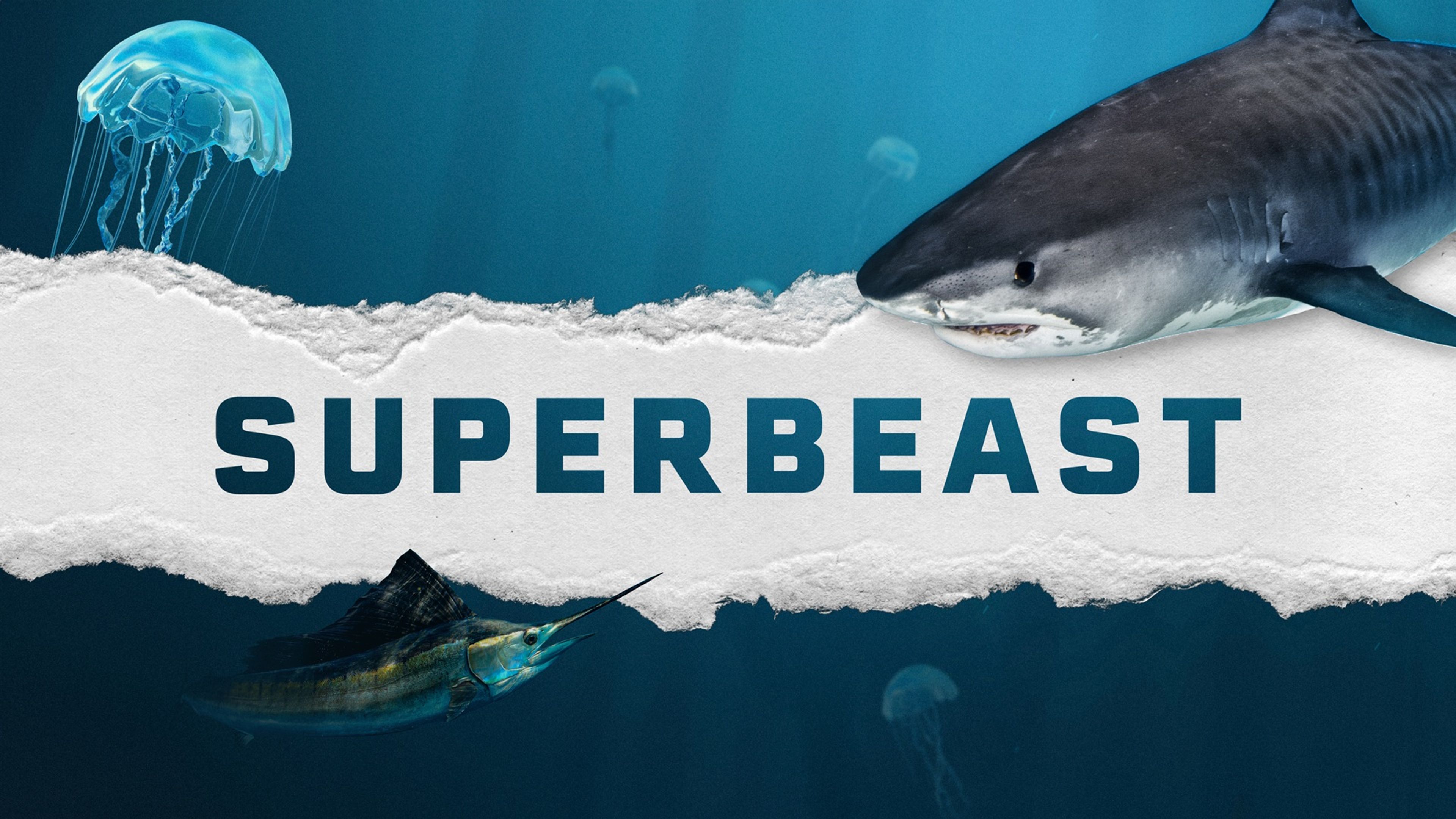 Superbeast S1