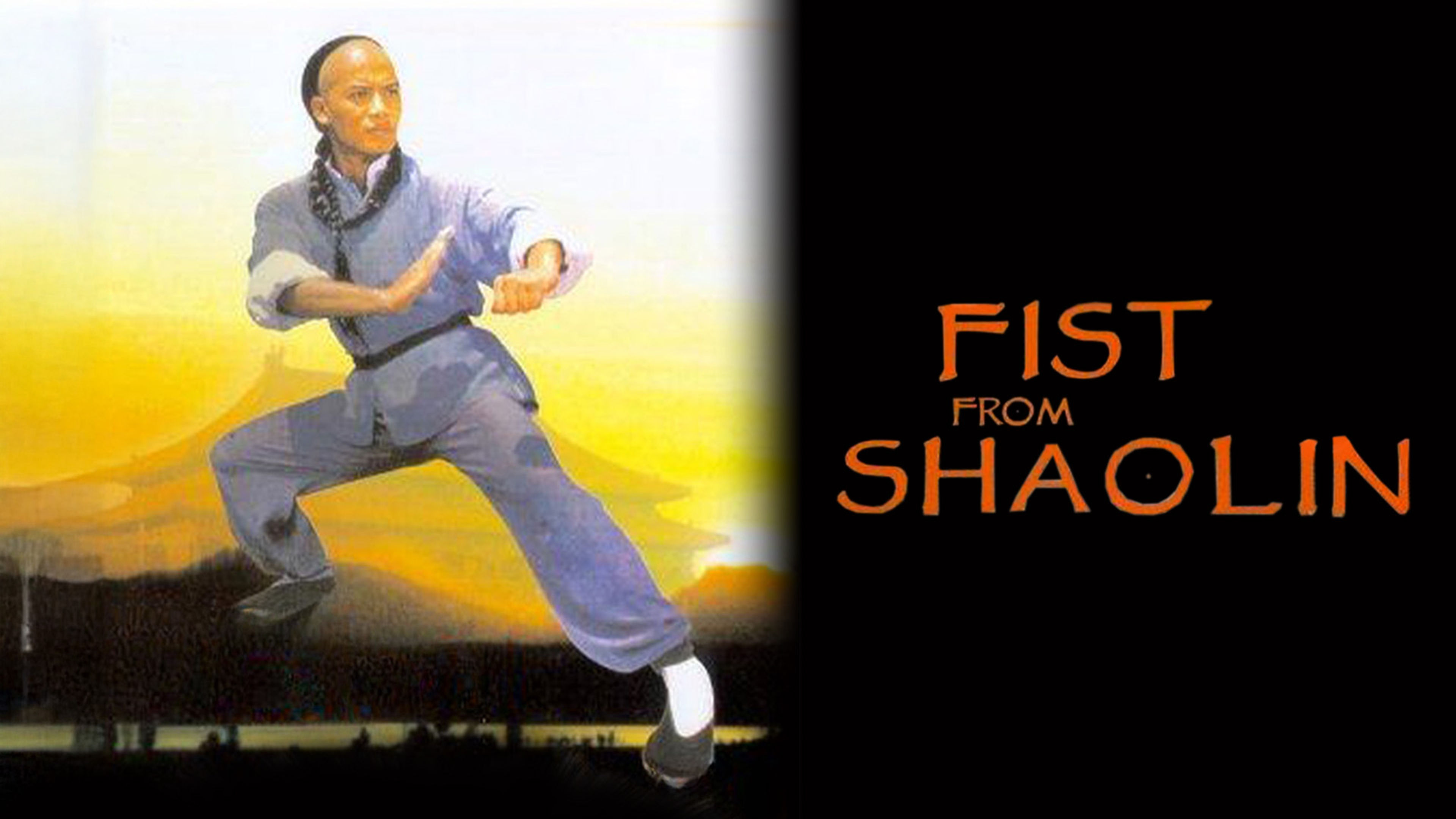 Fist From Shaolin