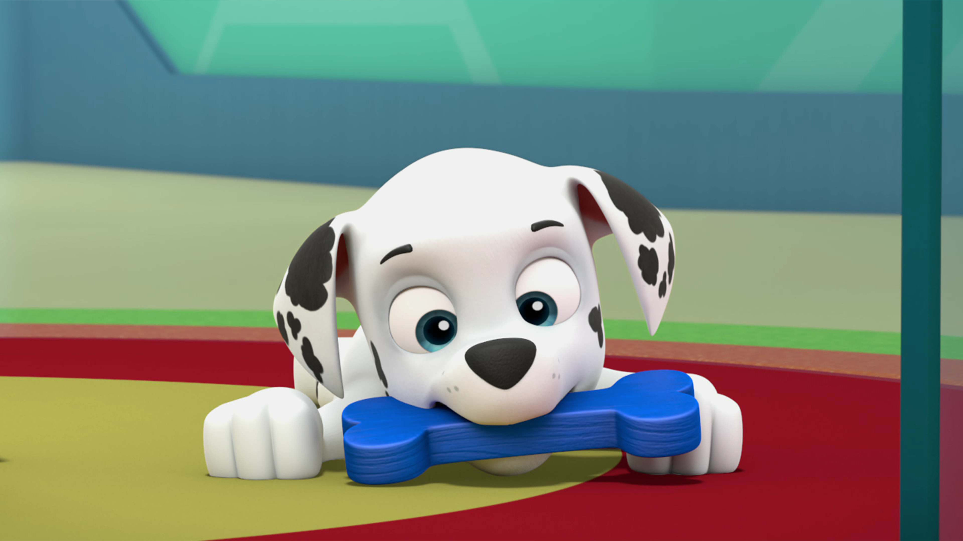 Paw Patrol S5