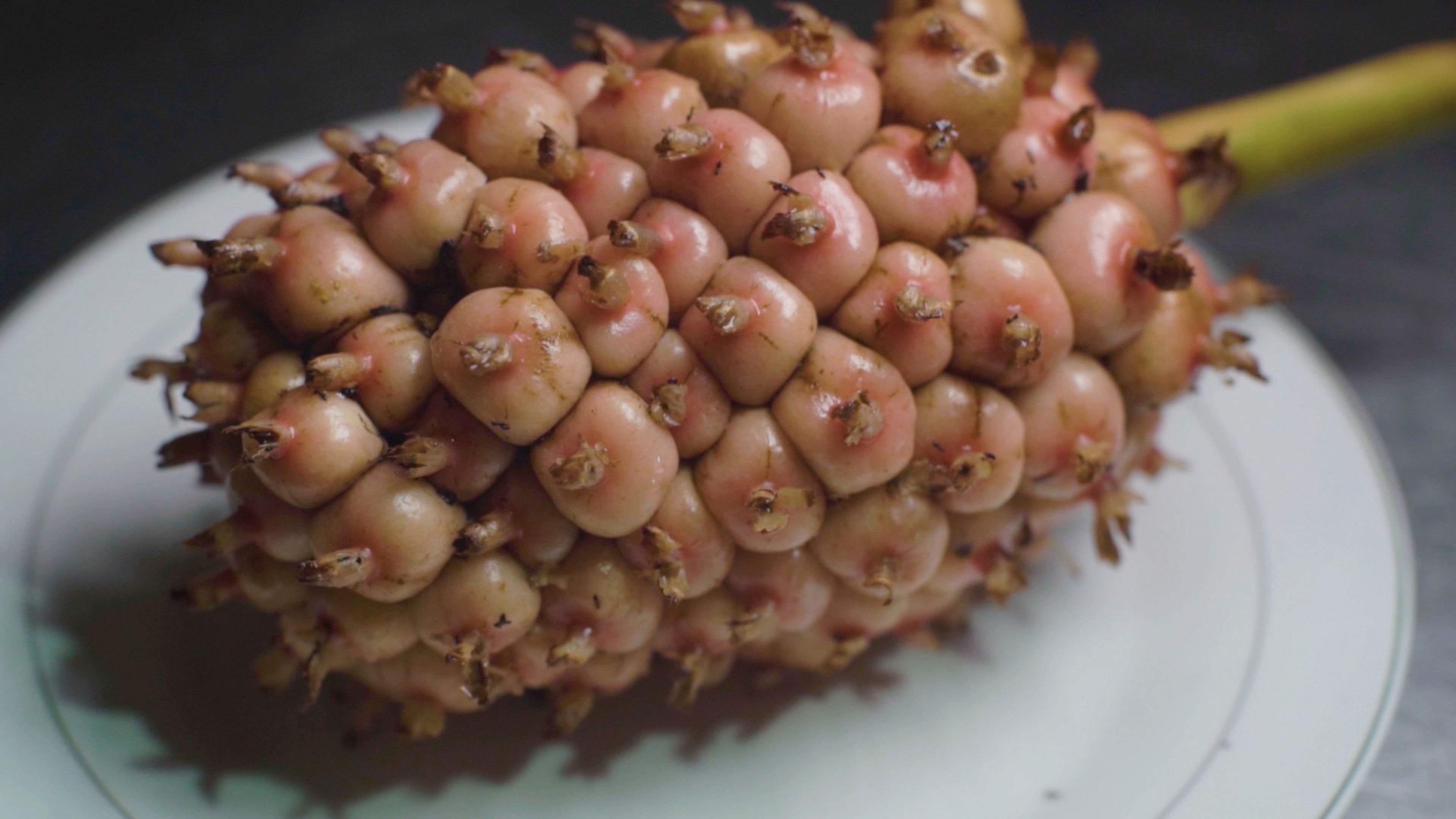 Indonesian Food Adventure