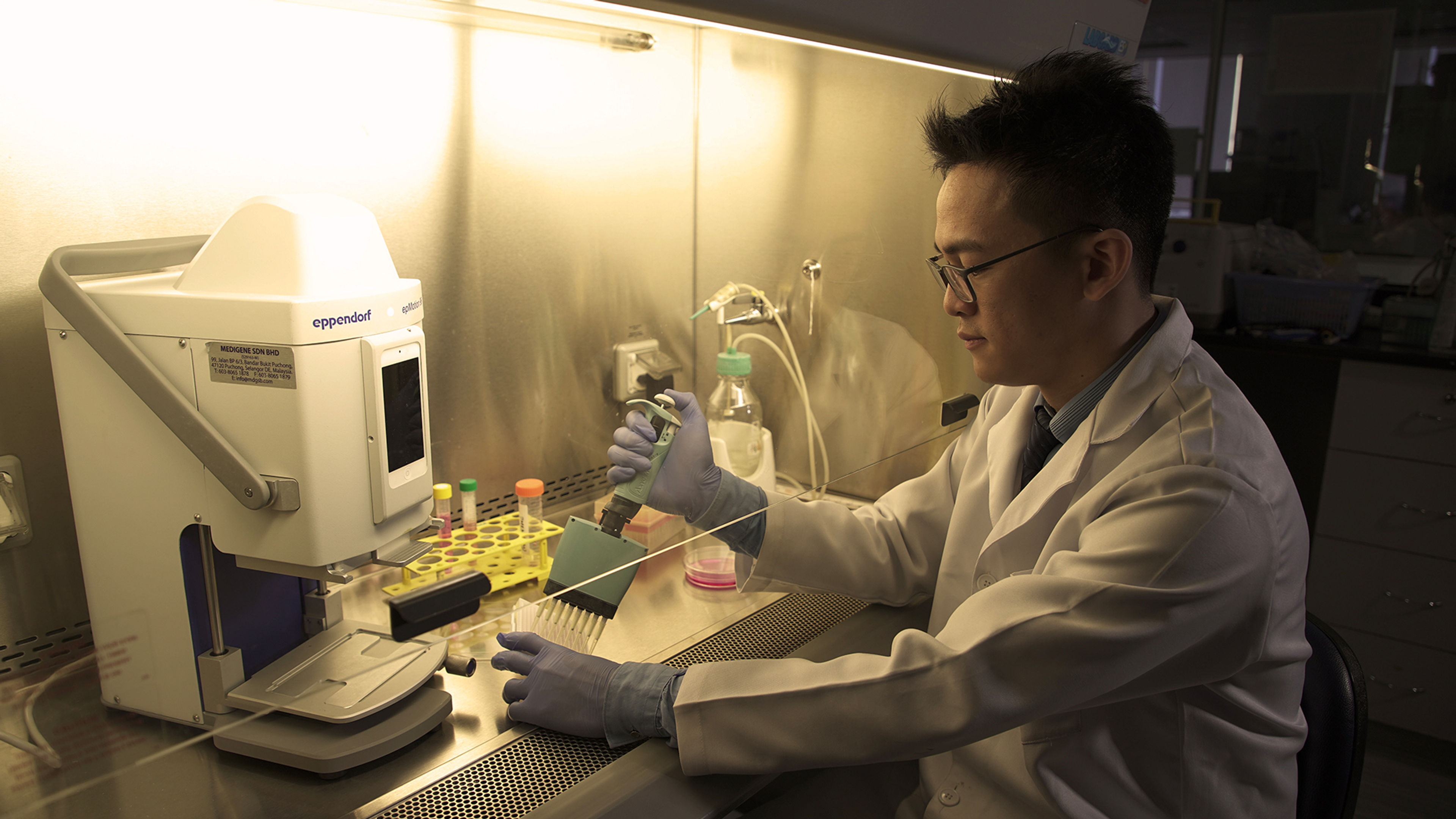 Stay Hungry, Stay Foolish