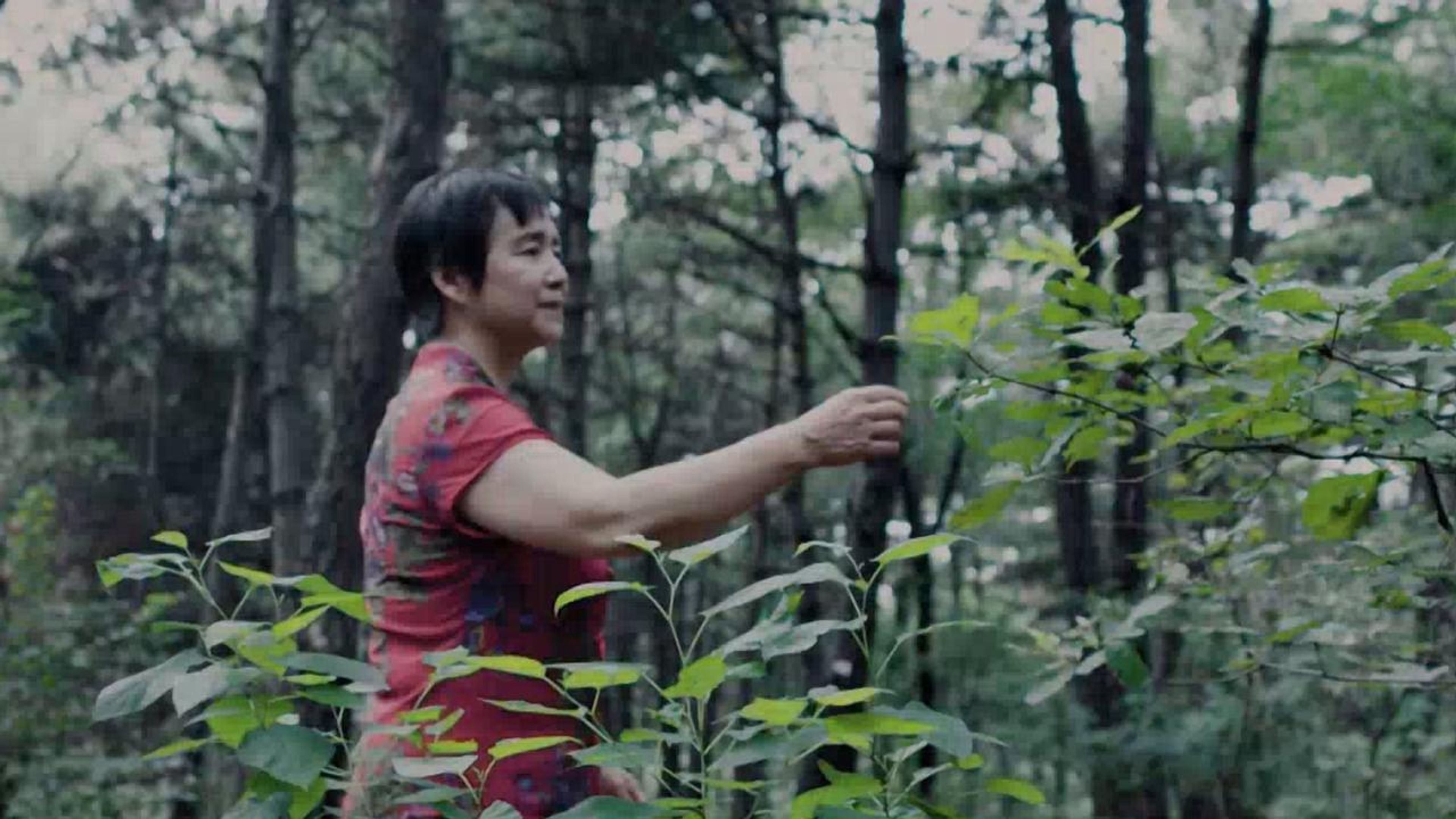 Craftsmanship and Ingenuity