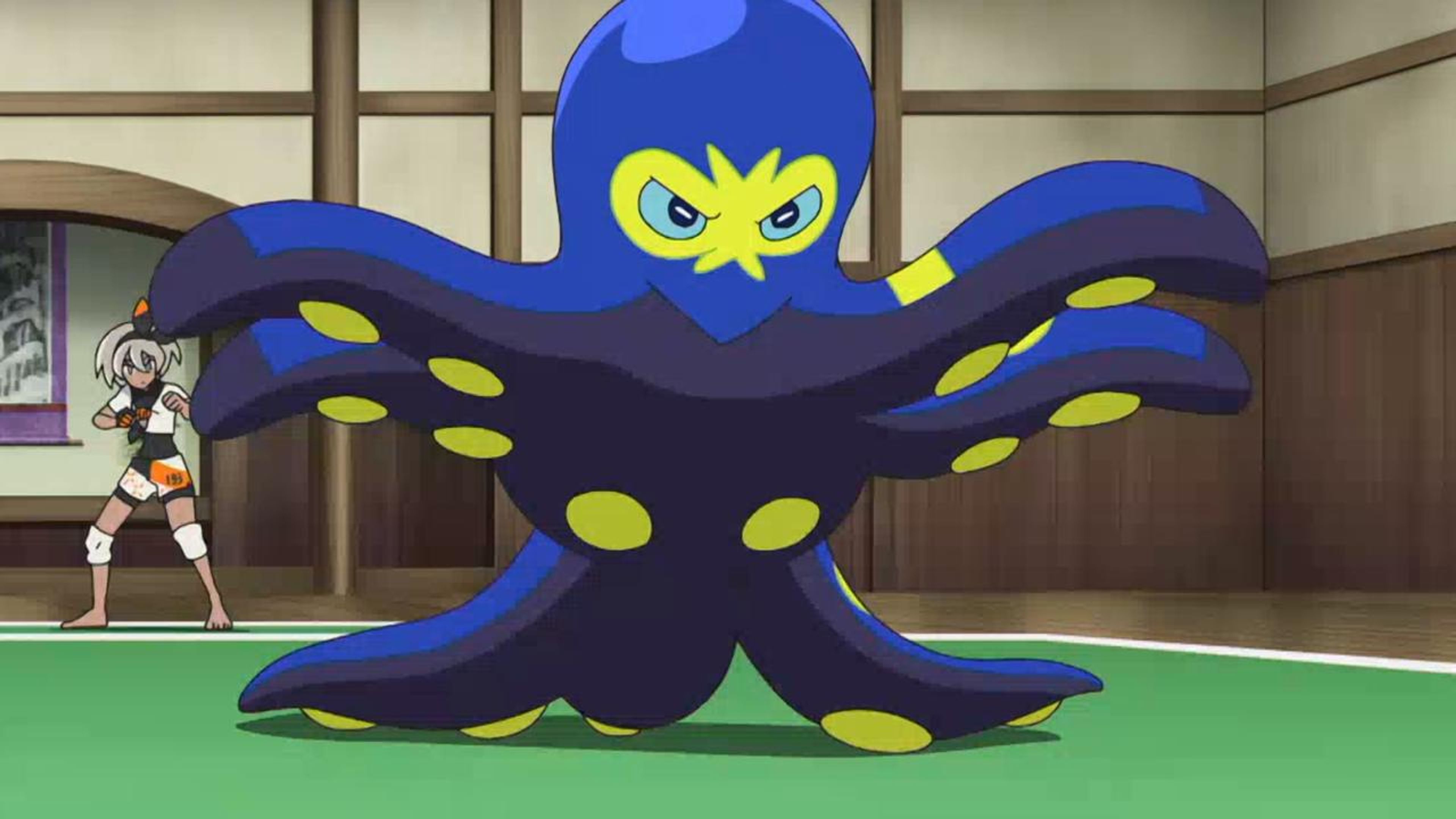 Pokemon Journeys: The Series