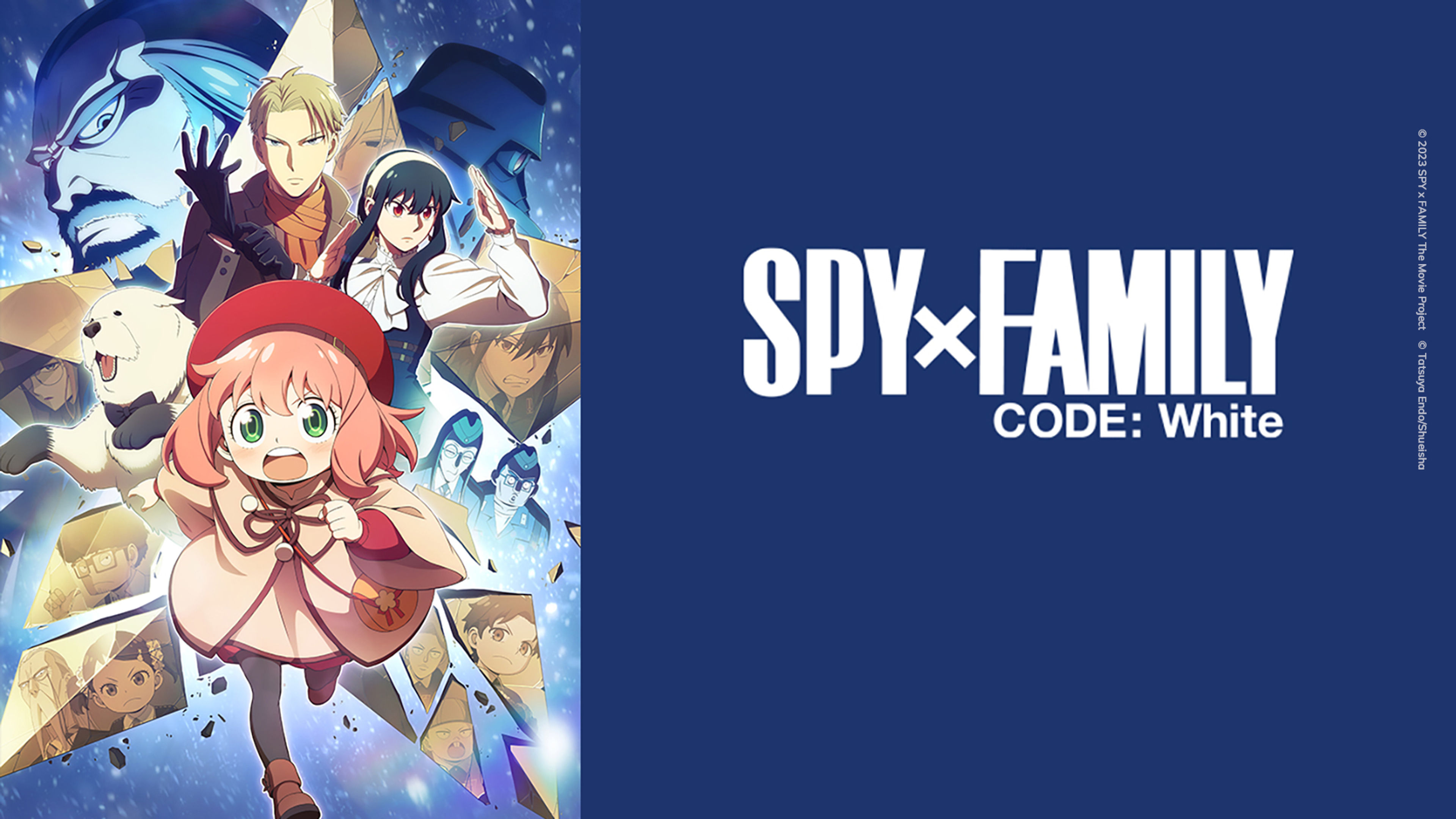 SPY X FAMILY CODE: WHITE