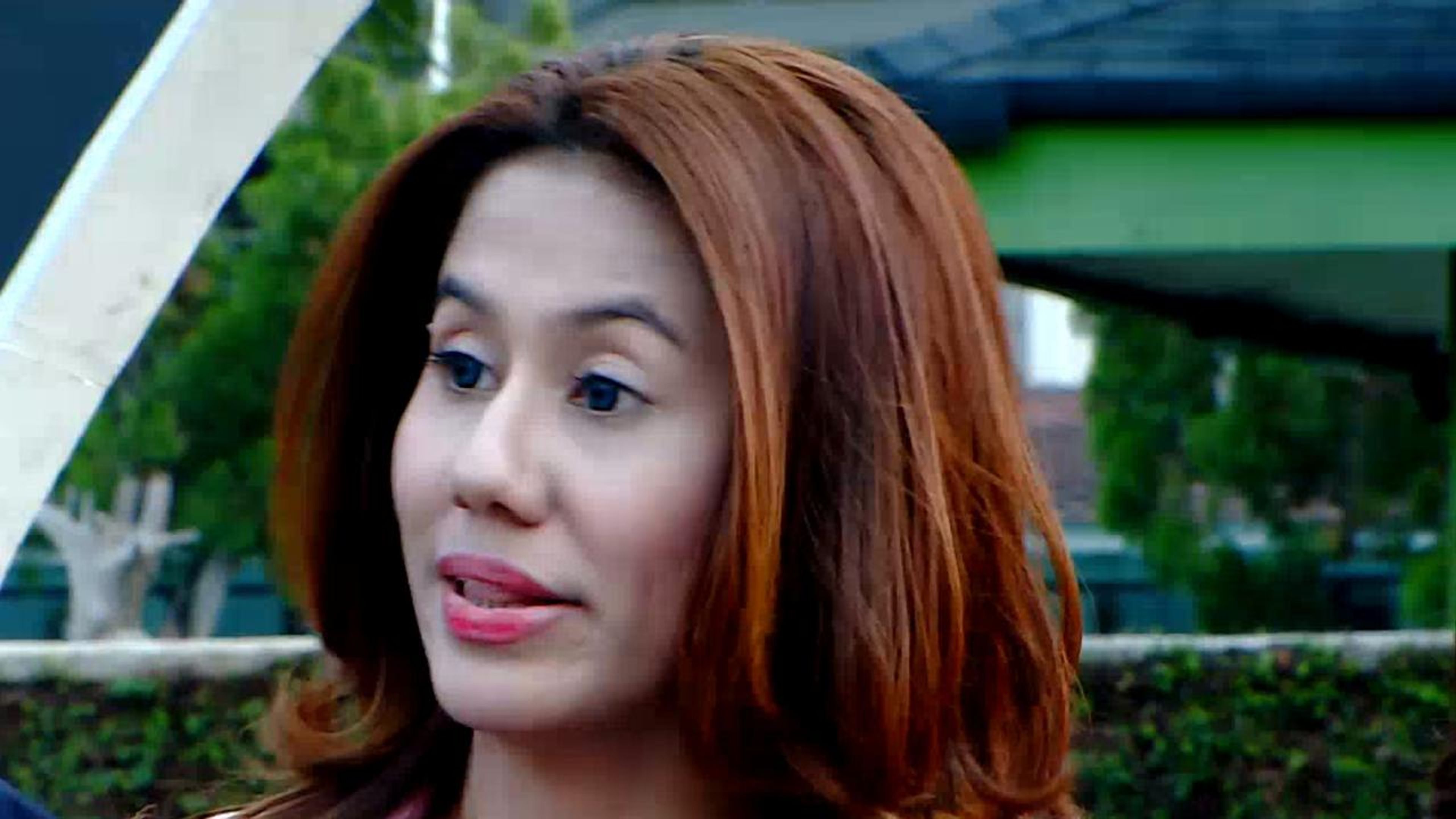 Buku Harian Seorang Istri