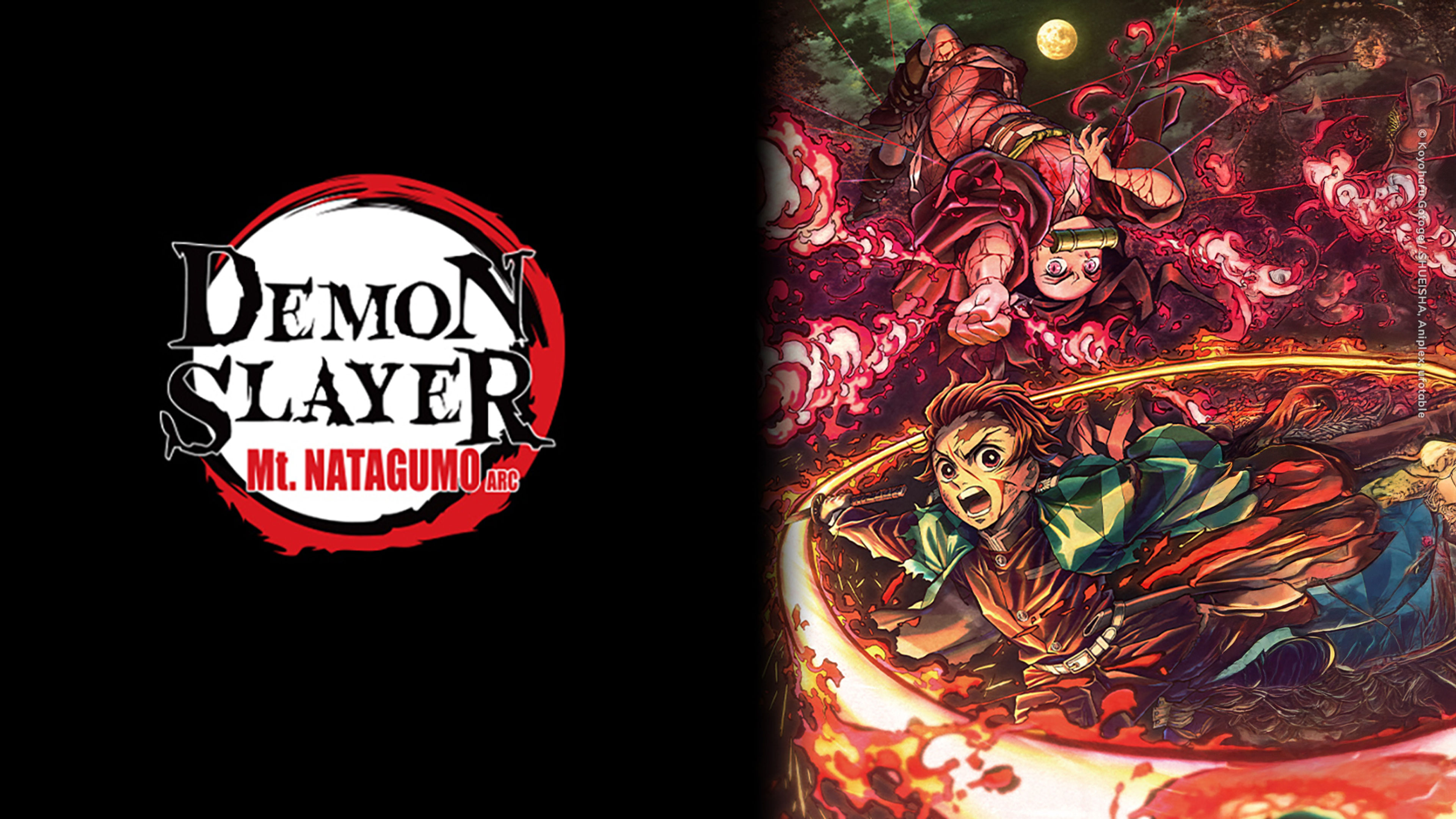 Demon Slayer: Kimetsu no Yaiba Asakusa Arc