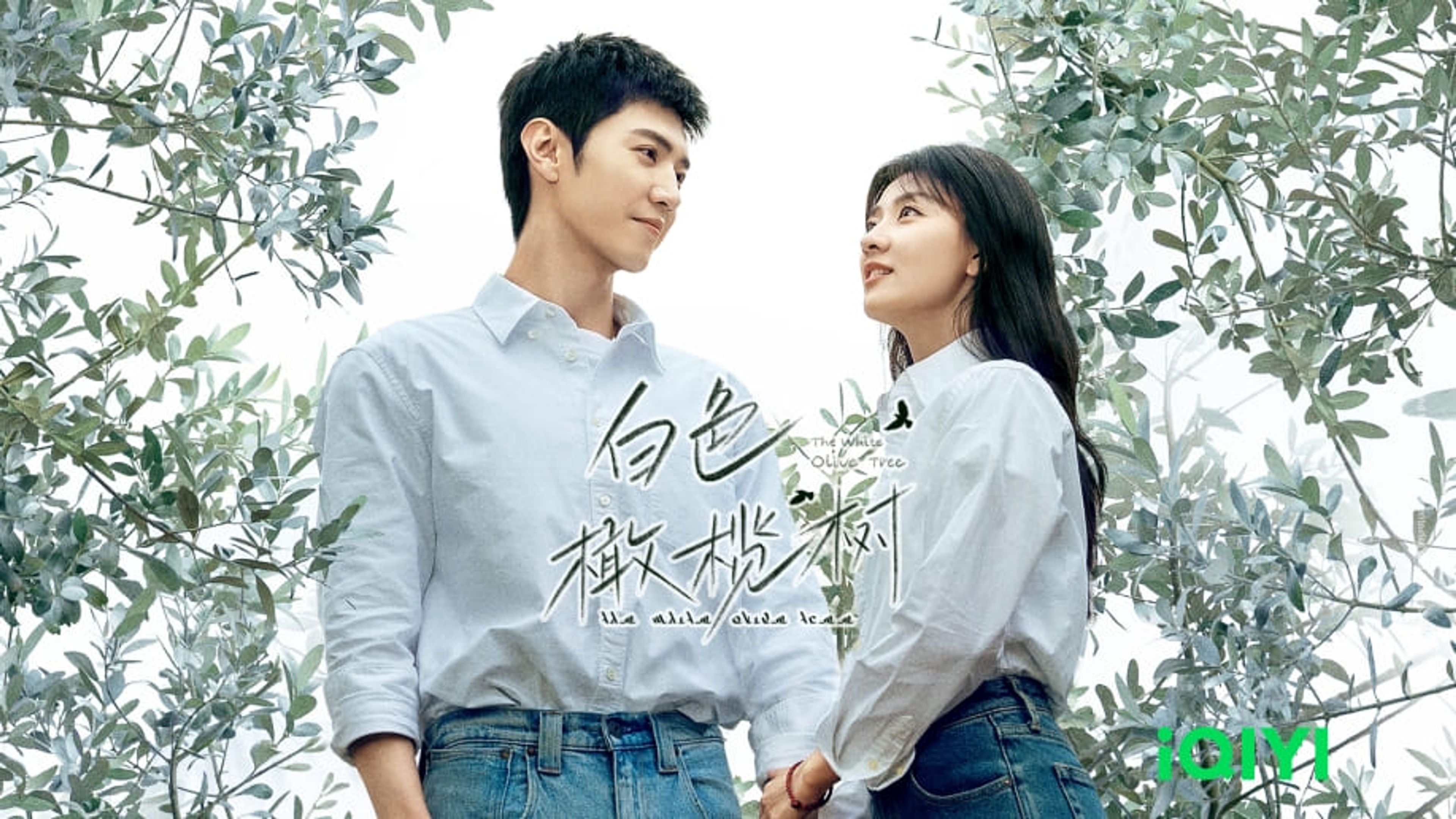 iQIYI-content-image