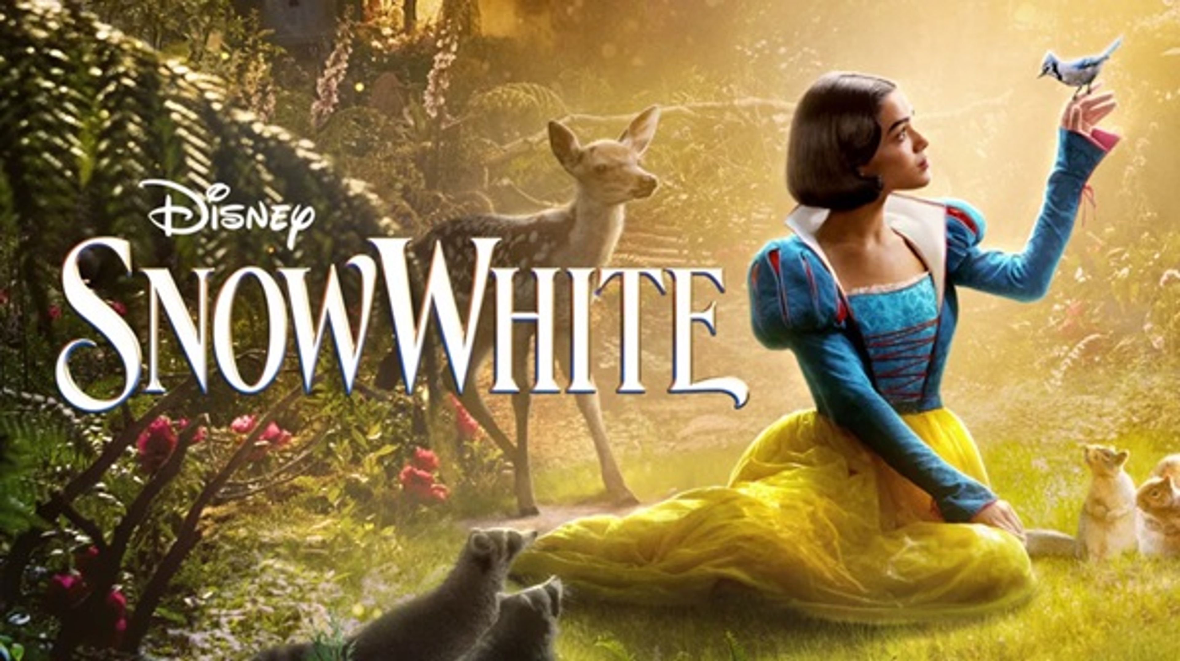Disney+ Hotstar-content-image