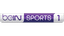 beIN SPORTS 1