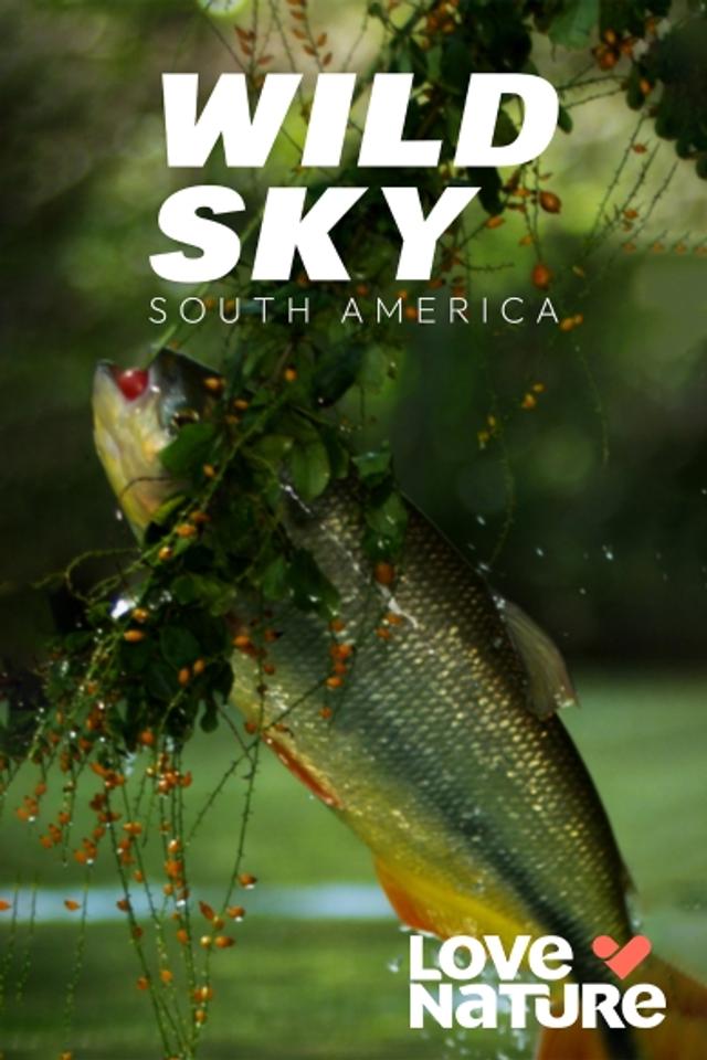 https://s3-ap-southeast-1.amazonaws.com/ams-astro/production/IVPVodImages/IVP(STB_OTT_STV)_KSCRU_p_IVP_PORT_390x585_84CBF_2025426_153859.jpg