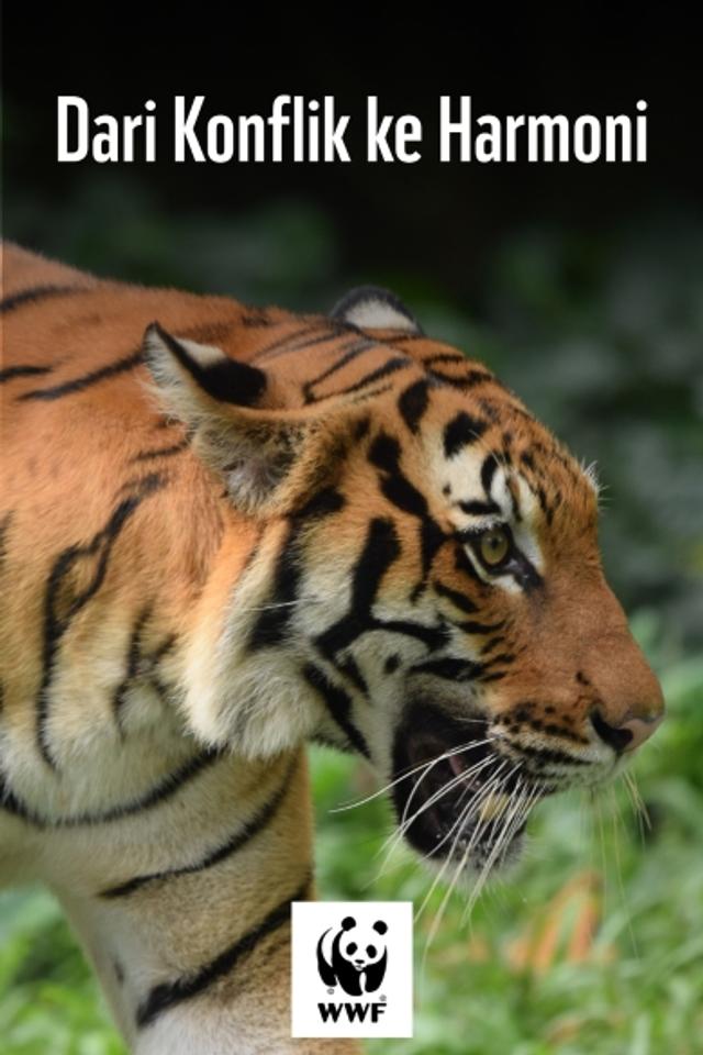 https://s3-ap-southeast-1.amazonaws.com/ams-astro/production/IVPVodImages/IVP(STB_OTT_STV)_KTXSM_P_IVP_PORT_390x585_88E9D_2025828_193236.jpg