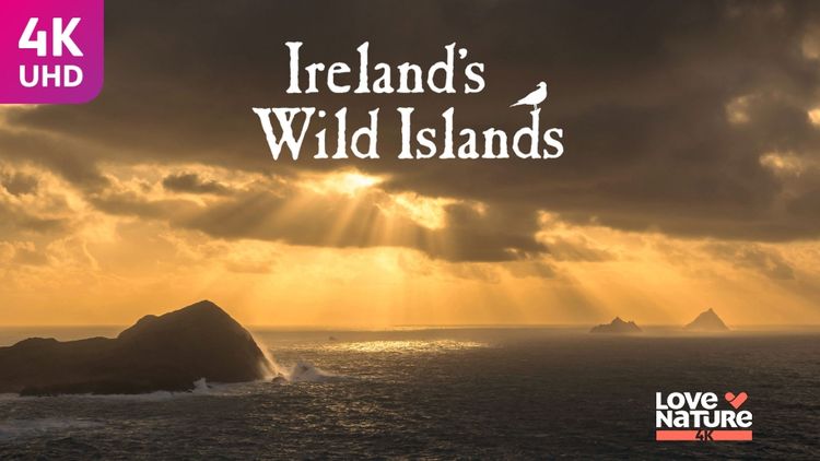 Ireland's Wild Islands