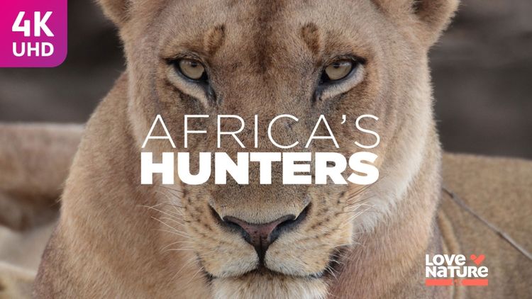 Africas Hunters