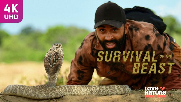 Survival of the Beast