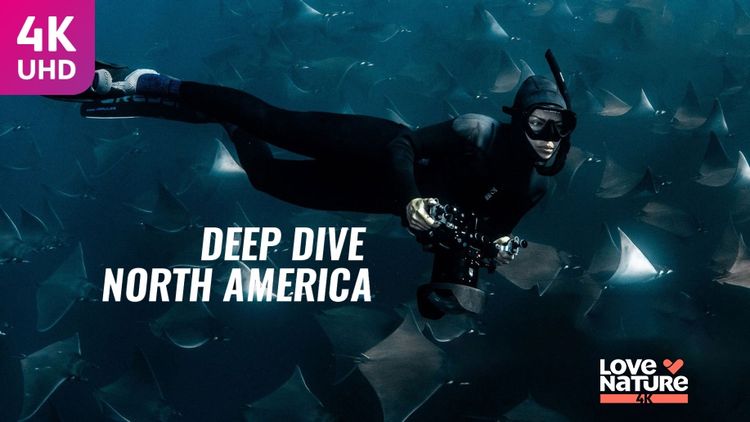 Deep Dive North America