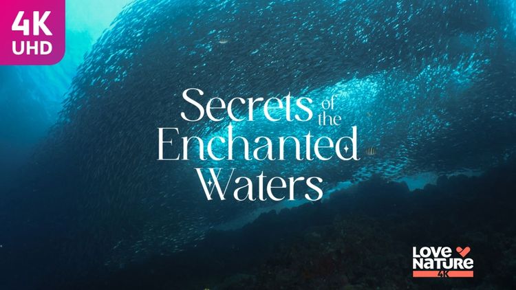 Secrets of the Enchanted Waters