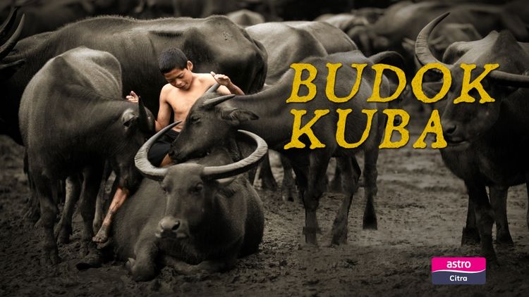 Budok Kuba
