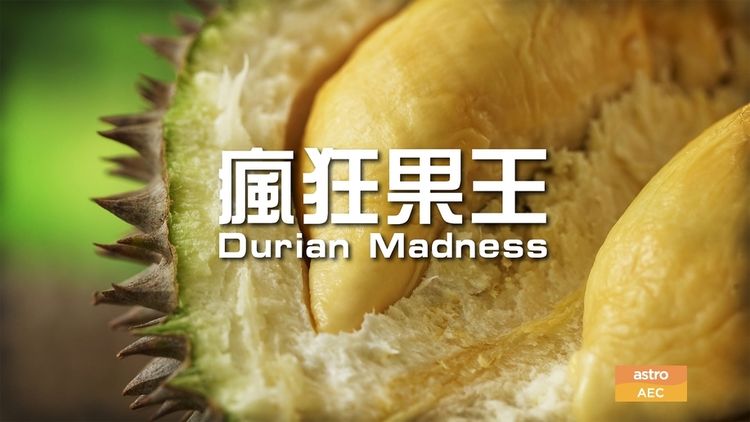 Durian Madness