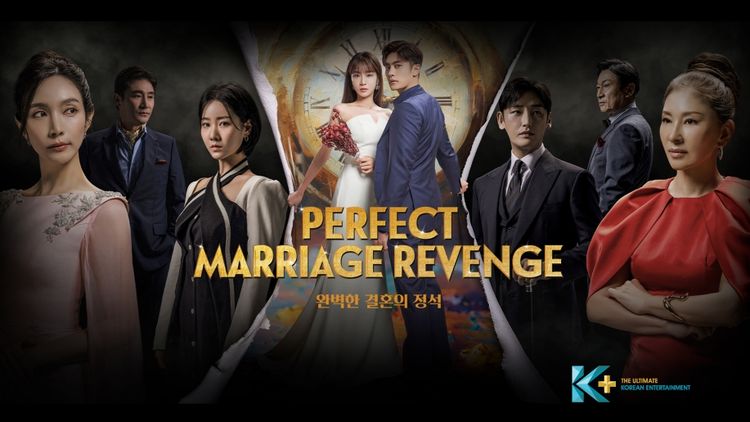 Perfect Marriage Revenge