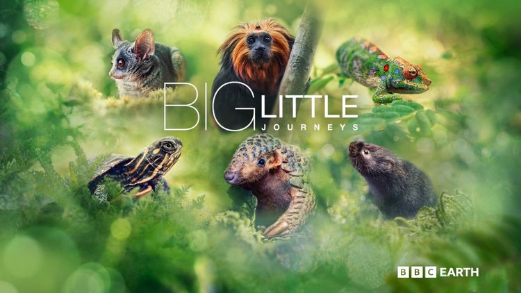 Big Little Journeys