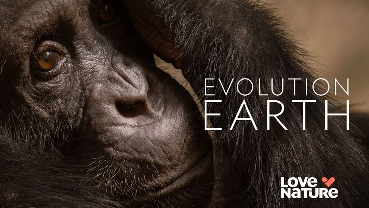 Evolution Earth