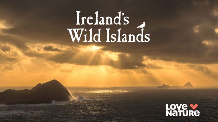 Ireland's Wild Islands