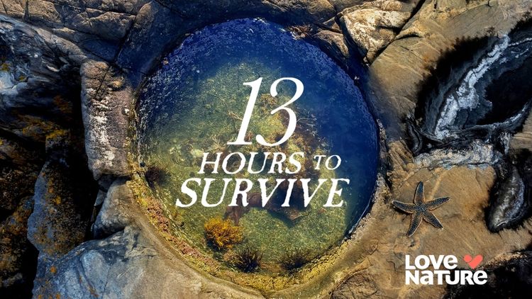 13 Hours to Survive