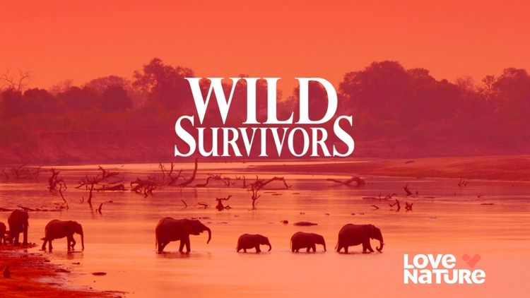 Wild Survivors