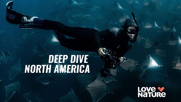 Deep Dive North America