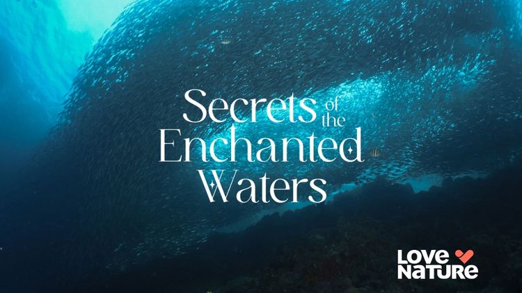 Secrets of the Enchanted Waters