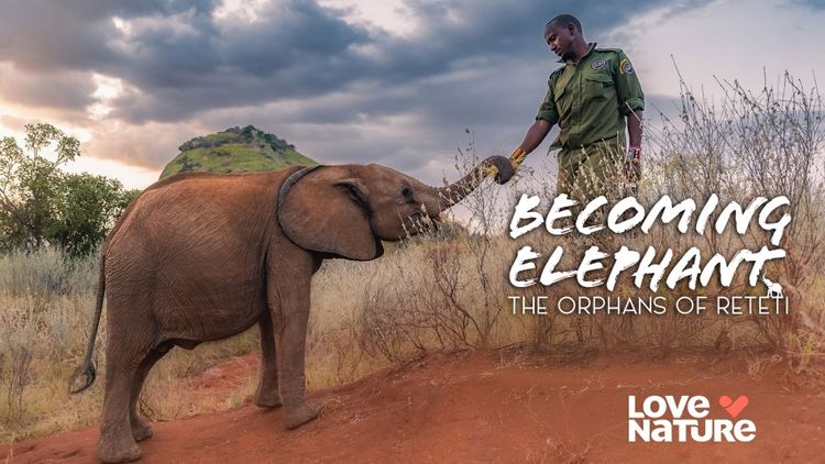 Becoming Elephant: The Orphans of Reteti