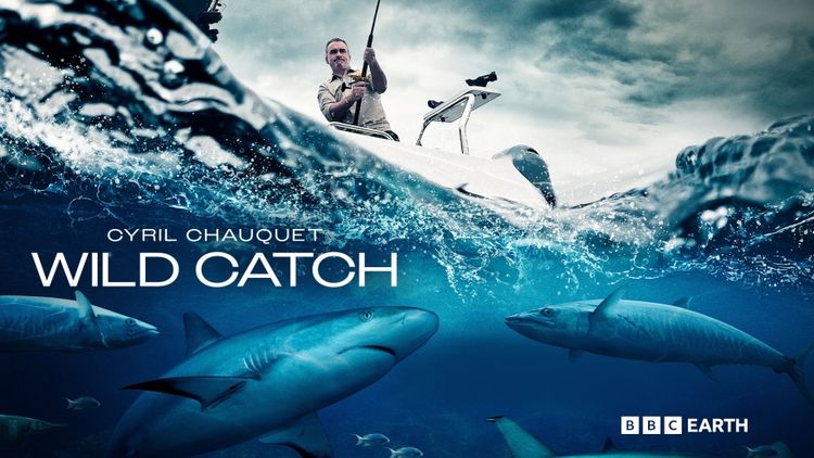 Cyril Chauquet Wild Catch