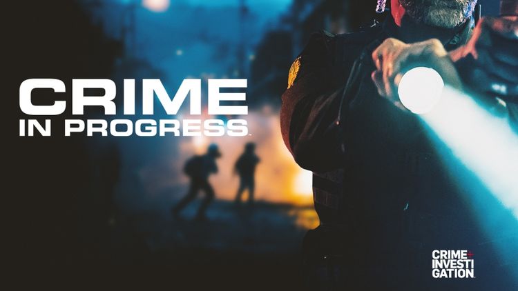 Crime In Progress