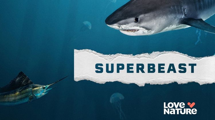 Superbeast