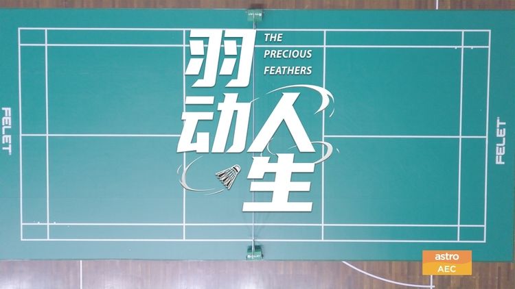 The Precious Feathers