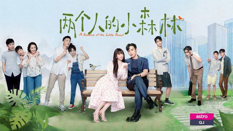 A Romance of the Little Forest