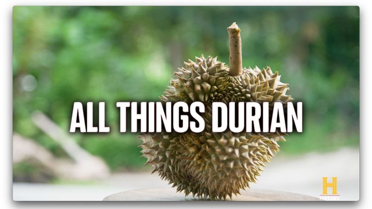 All Things Durian