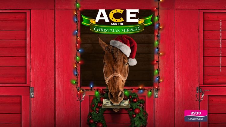 Ace and the Christmas Miracles