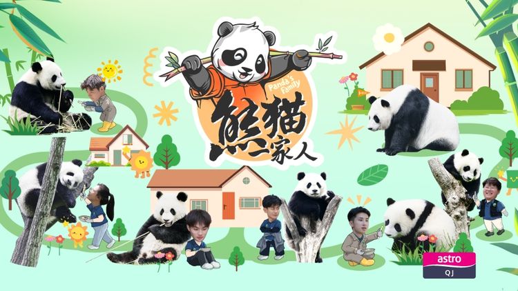 Panda's Family