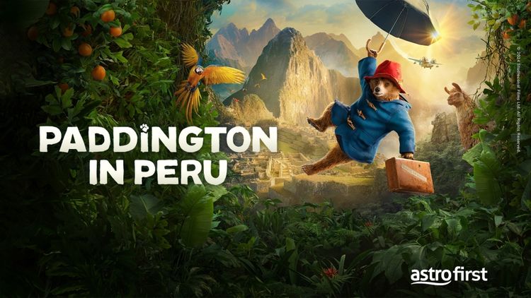 Paddington in Peru