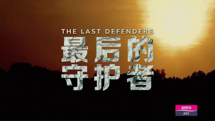 The Last Defenders