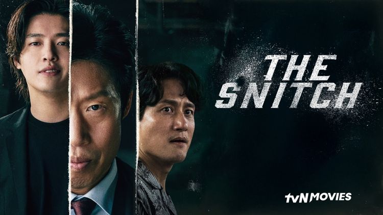 The Snitch