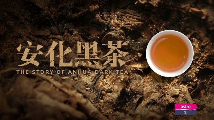 The Story Of Anhua Dark Tea